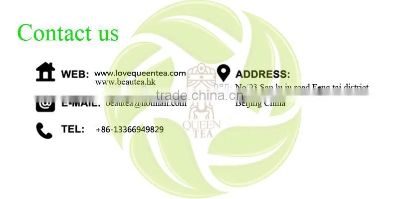 Premium Chinese henan province sharp green tea xinyang souchong maofeng tea xinyangmaojian green tea