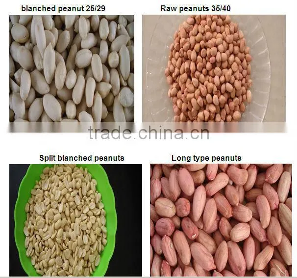 2015 new crop peanut/ peanut kernels