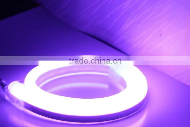 Flexible LED Neon Lighting RGB For Commercial Signs Decoration