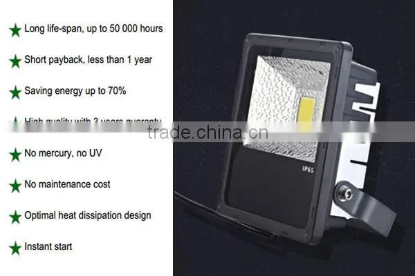 Factory price Bridgelux COB LEDS and Meanwell driver outdoor 50w led floodlight