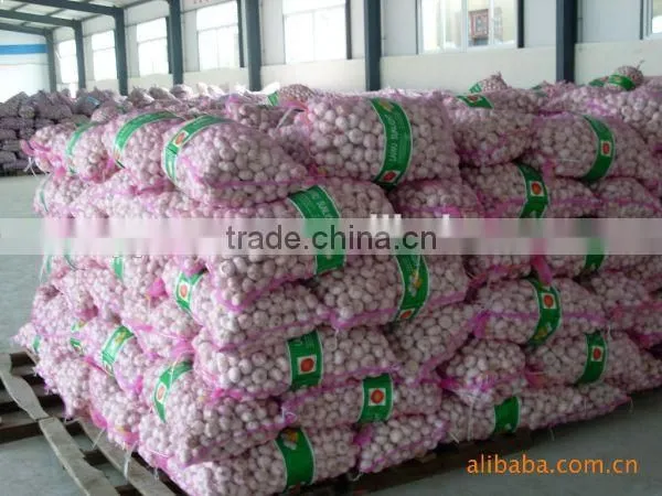 dried garlic granules