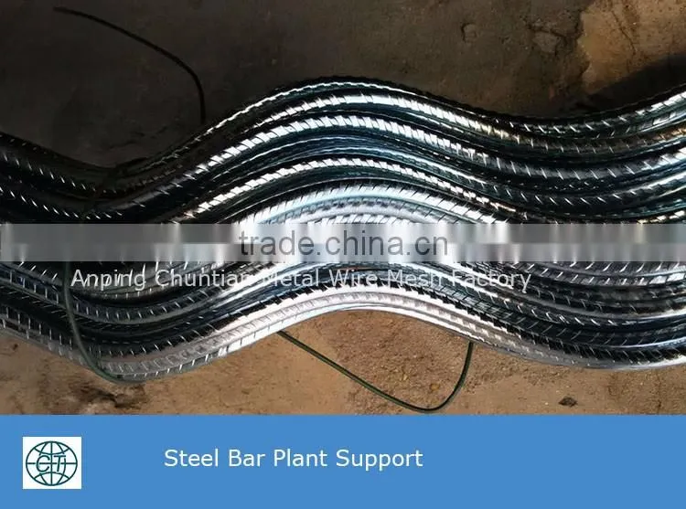 Glavanized Steel Bar Tomato Spiral Support rod for plant climbing