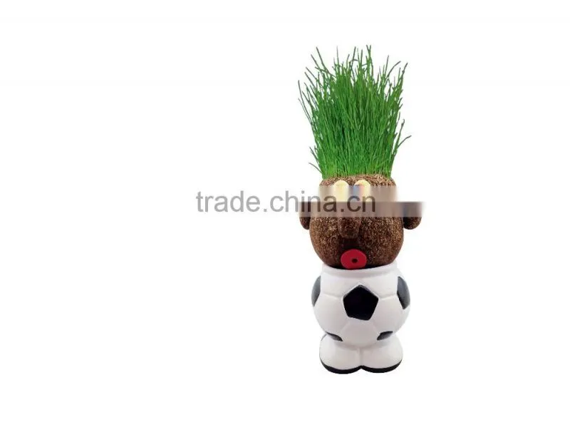 Interior Decoration metal plant pots plants for terracotta flower