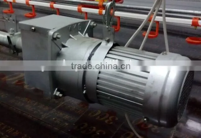 broiler ground raising equipment chicken house
