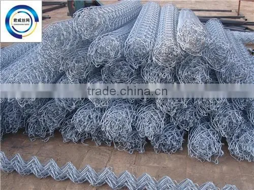 Galvanized Chain Link Fence used in horse yard made in ANPING