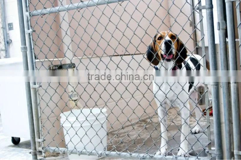 50*50mm Pvc Coated Welded Chain Link Fence Panels Anping Fence Factory