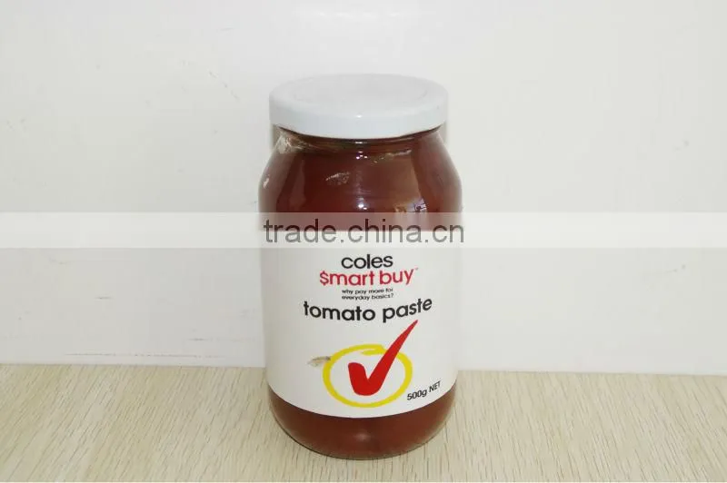 Best taste tomato ketchup concentrated in glass bottle 500gX12bottles