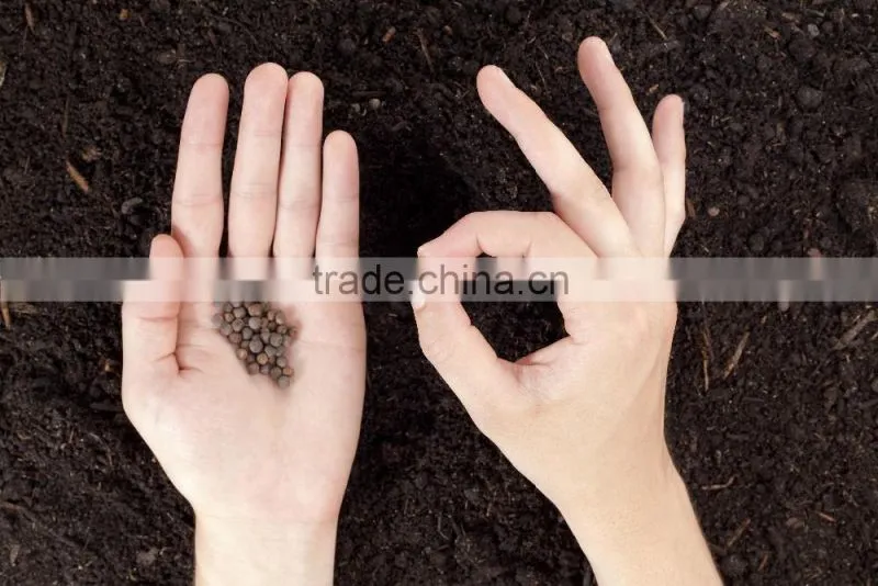 Diammonium Phosphate DAP 18-46-0 From Industry Winning Provider