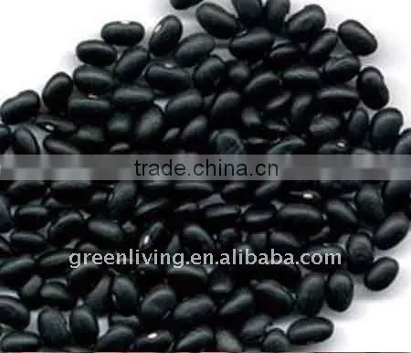 new crop black bean(best quality and price)