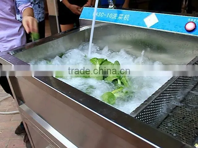 Automatic Small Size 220V Hotel Vegetable and Fruit Washing Machine with Good Price