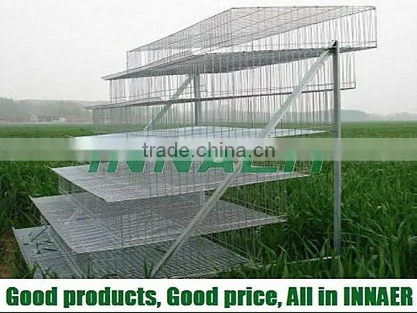 Supply Feeding Quail Cage in High Quality(ISO9001)