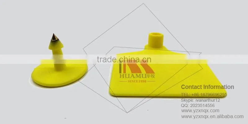 TPU ear tag for calf in yellow 60*56 mm
