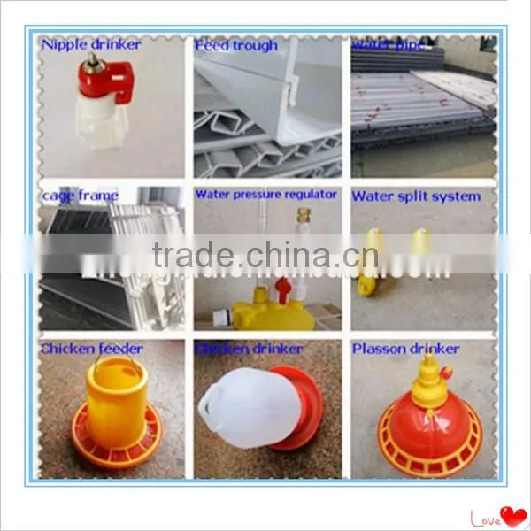 fully automatic chicken cage equipment for poultry farming