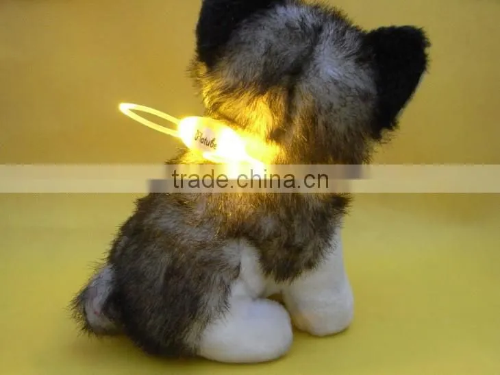 Fashion lighting up cat collars, puppy collars