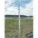 vineyard trellis