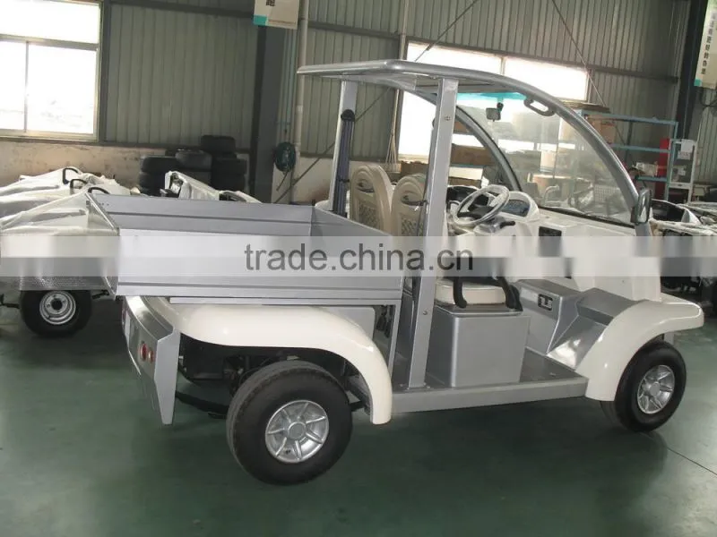 2 seater electric buggy with a rear cargo box