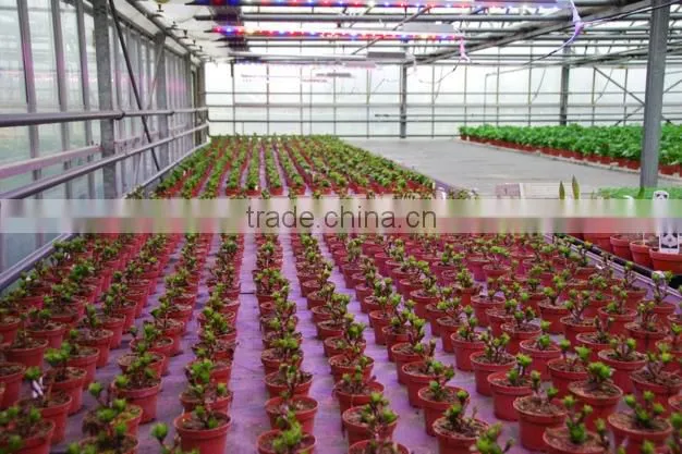 Grow Projects Widely Used Full spectrum LED Grow Light Hydroponics Grow System LED Grow Light Grow Bar Online shipping