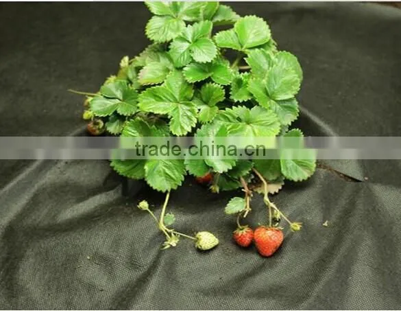 Plant Protector Sheet