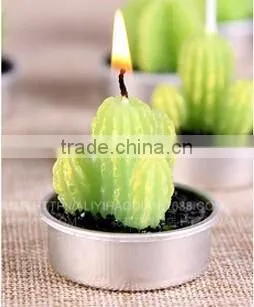 Cactus and Grape Plant Birthday Scented Candle