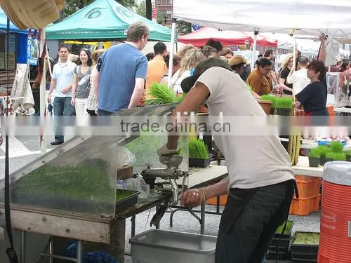 manual cast iron healthy wheatgrass juicer / fruit juicer