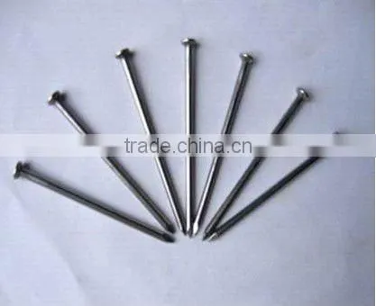 Polishing galvanized Common stainless iron round nail
