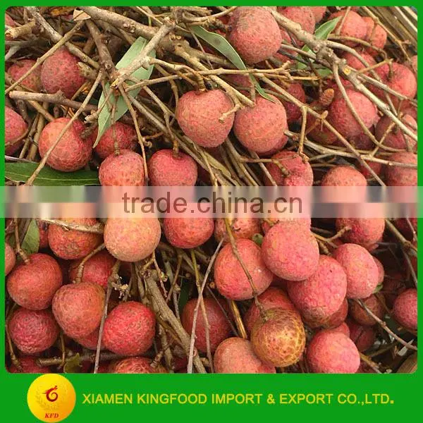 Chinese whole Frozen lychee