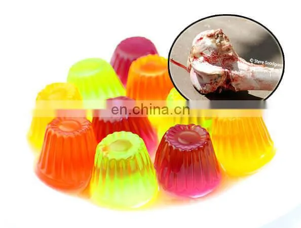 Industrial collagen gelatin production plant/gelatin making machine from Animal bones and skins