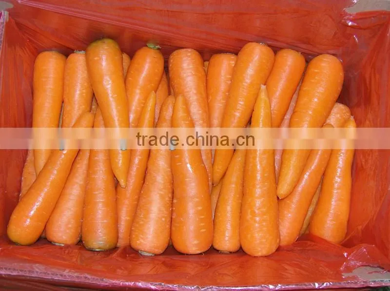 2014 New Red Carrot with 10kg/ctn