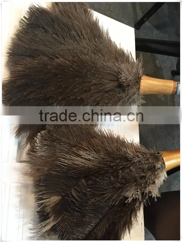 Magic duster with telescopic plastic pole