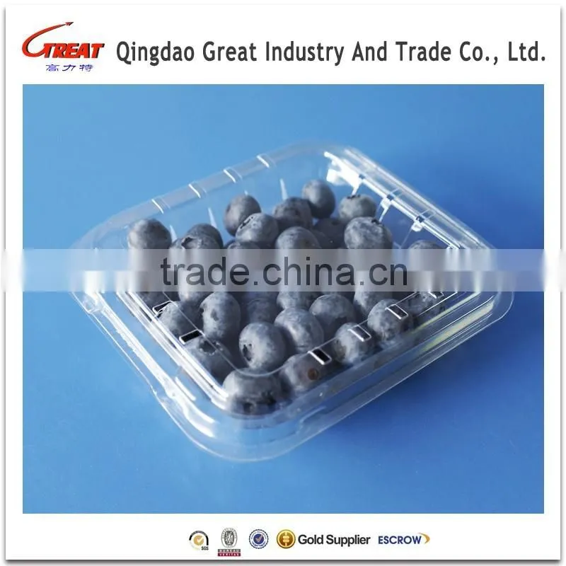 High Quality Plastic Fruit Packaging Box Berries Container
