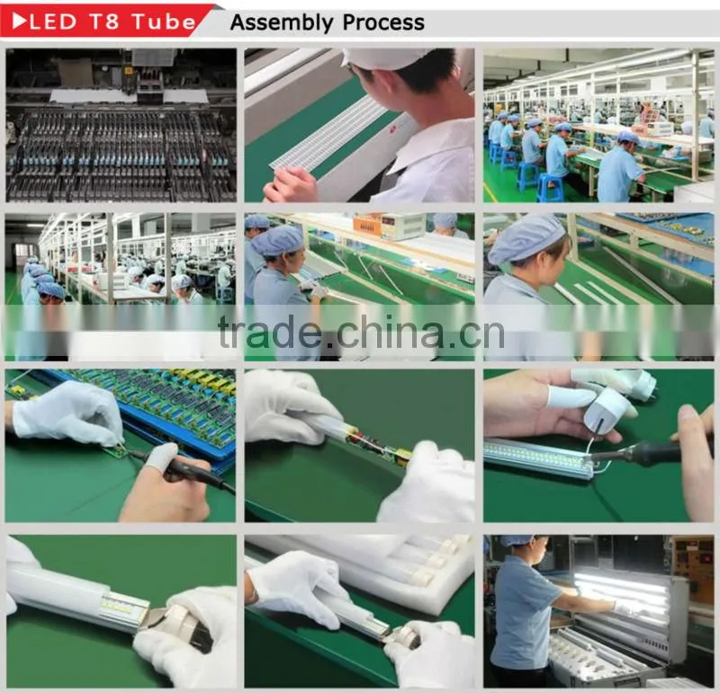 Dimmable 3 Years Warranty 4ft G13 T8 LED Tube 1200mm 18w High Brightness