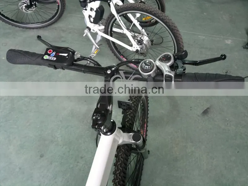 26 inch foldable E-Bicycle with TGS Brand alloy crown and outer-legs suspension front Fork XY-TDE09Z