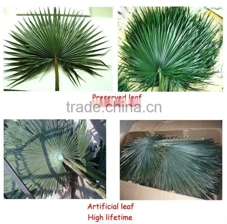 Indoor preserved washingtonia palm tree fake tropical big palm tree