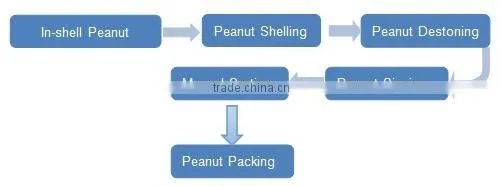 Industrial Dehuller Nut Shelling Equipment Peanut Shelling Production