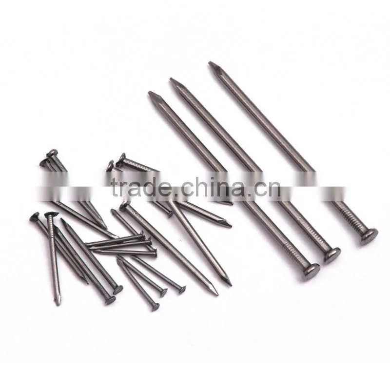 polished common nail,polished common nails