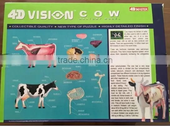 V-AM048 4D MASTER Cow specimen anatomical model