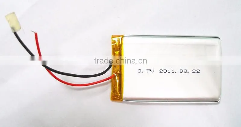 Mobile computer with polymer batteries