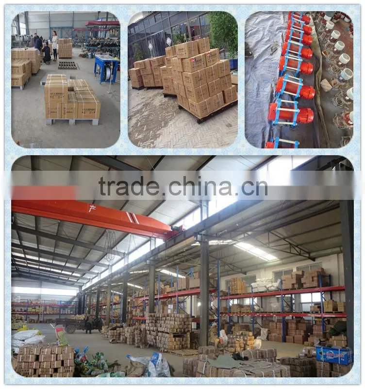 hot sale 500kg-1000kg Wire Rope Electric Motor Hoist/Electric Winch