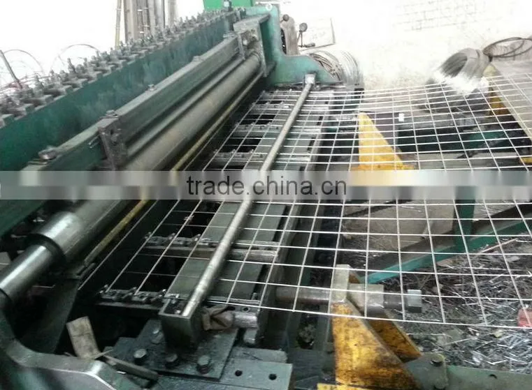 Galvanized Welded Wire Mesh Panel