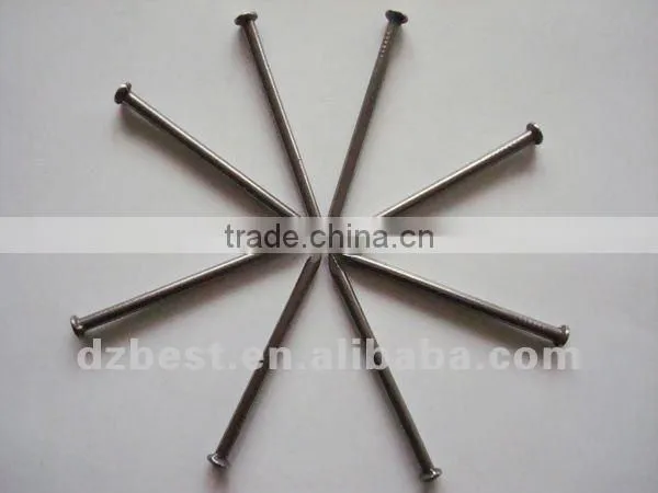 polished common iron nail