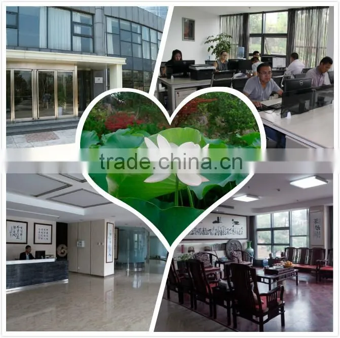 advanced advanced technology gypsum board powder equipment 28years