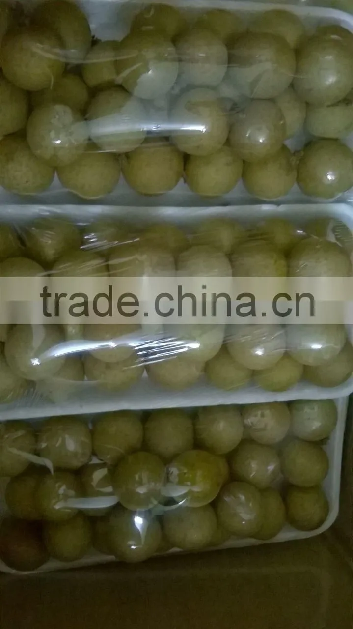 Longan fruit- high quality best price from Vietnam