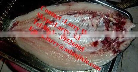 fish gutting machine/high capacity fish killing machine