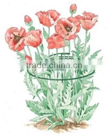 Plant Support