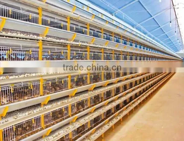 layer quail cage for sale & layer quail cage for poultry farm equipment