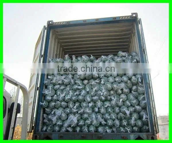 Cheap sunshade netting(Hot sale)