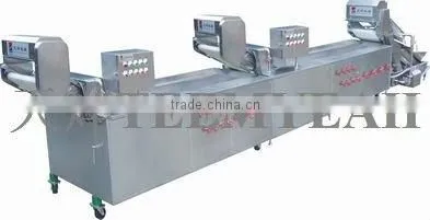 TW-306L Continuously Vegetable Washing Machine (Video) Factory
