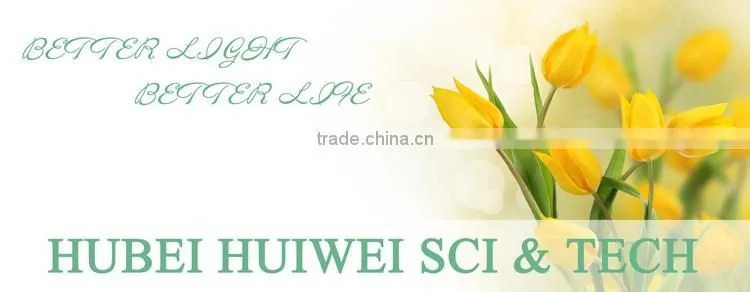 1000W Electronic ballast with cooling fan