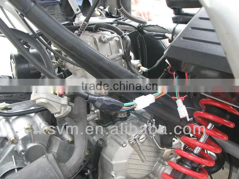 TK250GK-9 250cc Go Kart 4x4 buggy go kart sport vehicle