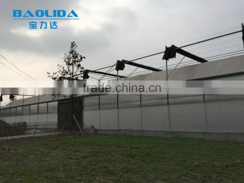 large plastic film multi-span greenhouse for plant growing or commercial use